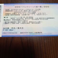 残り１枚「バンクシーって誰？展」格安チケットの画像