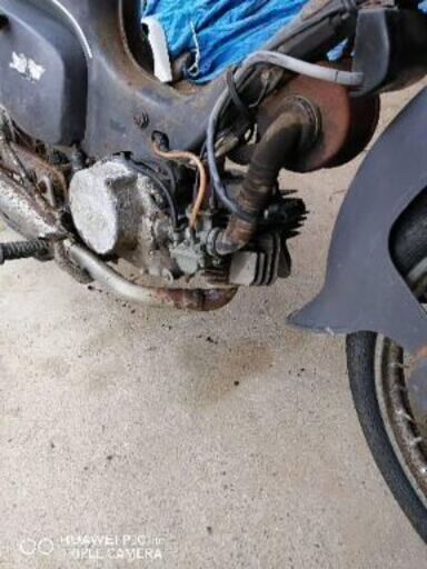 好きな人シリーズ。バーディー　ツースト