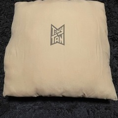 BTS TinyTAN Dynamiteプリントクッション 〜TinyTAN FUNPARK Style〜全2種【値下げ交渉可】 の画像