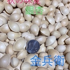 秋の味覚★銀杏★金兵衛●1kg  