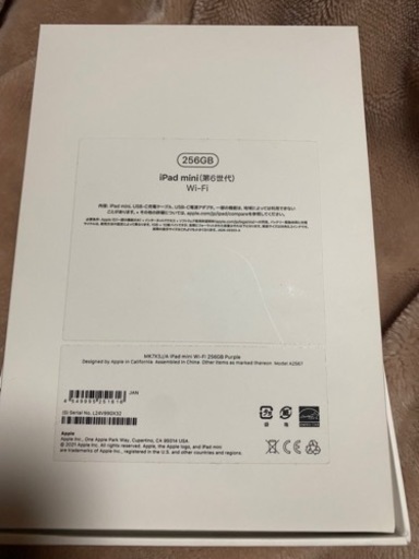iPadmini 第6世代 WiFiモデル