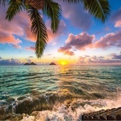 🙇‍♀️2022.11月報告&随時おねがい✨