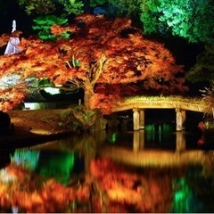 六義園に行きませんか🚶‍♀️🚶🏻‍♂️🍁？
