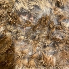 セレクトショップ購入✨ラビットファースヌード✨ストールマフラー✨の画像
