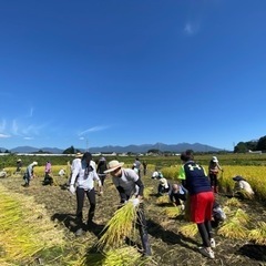 FARMY収穫祭！納豆づくり体験＆新米試食 - イベント