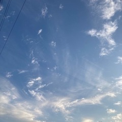 スケボー仲間募集！
