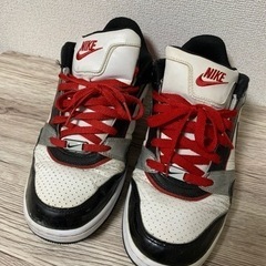 NIKE ジュース(決定)の画像