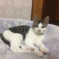 多頭の現場から保護されました2️⃣
