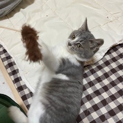 里親さんが決まりました。