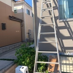 脚立　ハセガワ　１０尺　中古