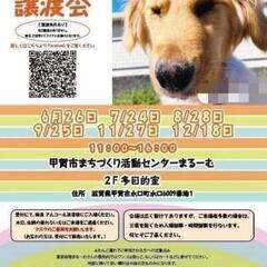 12月18日 保護犬・保護猫　譲渡会