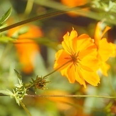 東京フォトサークル　12月10日(土) - 千代田区