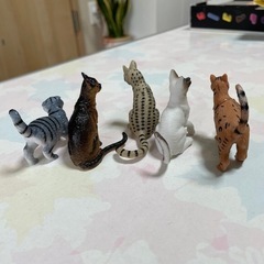 猫のおもちゃの画像