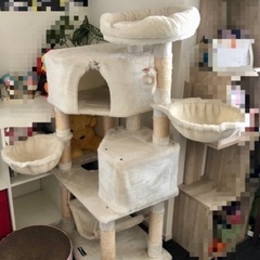 猫タワー
