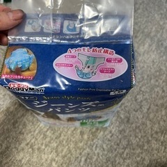 犬用　オムツの画像