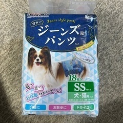 犬用　オムツの画像