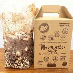 椎茸　菌床　栽培キット　家庭菜園