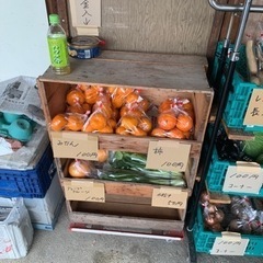 激安野菜❤️50円〜200円✌️