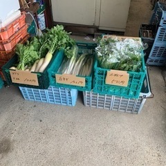 激安野菜❤️50円〜200円✌️の画像