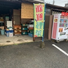激安野菜❤️50円〜200円✌️の画像