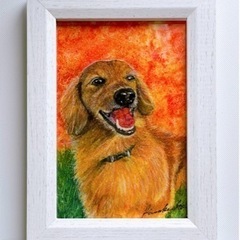 ペット似顔絵オーダー受付中　ハガキサイズ　色鉛筆画の画像