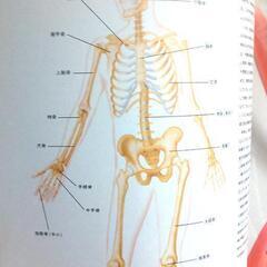古本 総合 医学書の画像