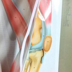 古本 総合 医学書の画像