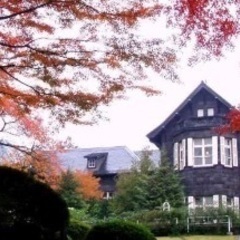 12/2 東京各所の紅葉巡りましょう