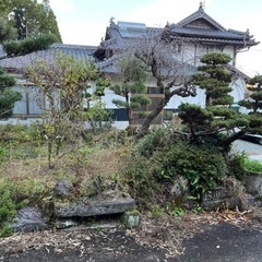 千円にて何本でも何個でも譲ります。