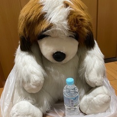 受渡者決定しました大きな犬のぬいぐるみ　約60cm
