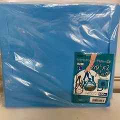 HEIKO のび×2バッグ　イエローMサイズとブルーLサイズ
