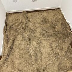 【クリーニング済】180cmｘ189cm ラグ ベージュ カーペ...