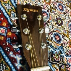 Morris MF-256TS 韓国製 アコースティックギターの画像
