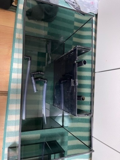 グラステリアアグス　オーバーフロー水槽