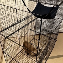 猫用ゲージ　2段　ハンモック付きの画像