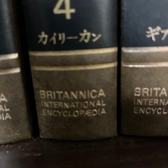 ブリタニカ国際大百科事典の画像