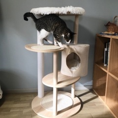 キャットタワー