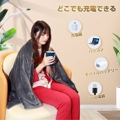 【新品未使用】電気毛布 掛け敷き両用 電気敷毛布 USB毛布 160cmx65cm ひざ掛け 肩掛け 膝掛け USB電気敷き毛布 丸洗い可能 冷え対策 オフィス テント泊用 車中泊 洗える 防寒対策 グレーの画像