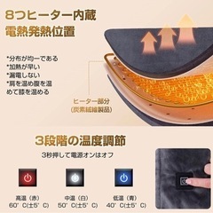 【新品未使用】電気毛布 掛け敷き両用 電気敷毛布 USB毛布 160cmx65cm ひざ掛け 肩掛け 膝掛け USB電気敷き毛布 丸洗い可能 冷え対策 オフィス テント泊用 車中泊 洗える 防寒対策 グレーの画像
