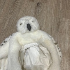 ヘドウィグ被り物の画像