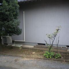 ★枝払い、剪定、伐採　お手伝いします★！！ - 手伝いたい/助けたい