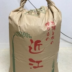 もち米 玄米 R2年度 古米 20kg 20キロ お米