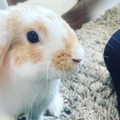 はじめまして✨