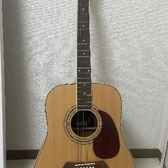 Elioth アコースティックギター