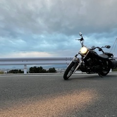 ドラックスター250の画像