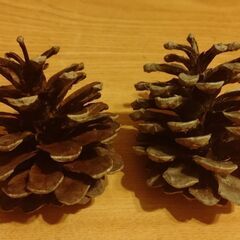 クリスマス飾り「フォトスタンド・クリスマスペーパー・クリスマスカード・クリスマスリース＆クリスマスツリー松ぼっくり」の画像