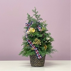 クリスマスパーティーを開催します − 神奈川県