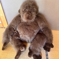 ぬいぐるみ中古