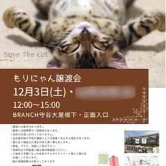 BRUNCH守谷様にて『もりゃん譲渡会🐾』