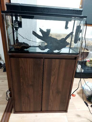60cm水槽セット　水槽台、その他使いかけ備品付